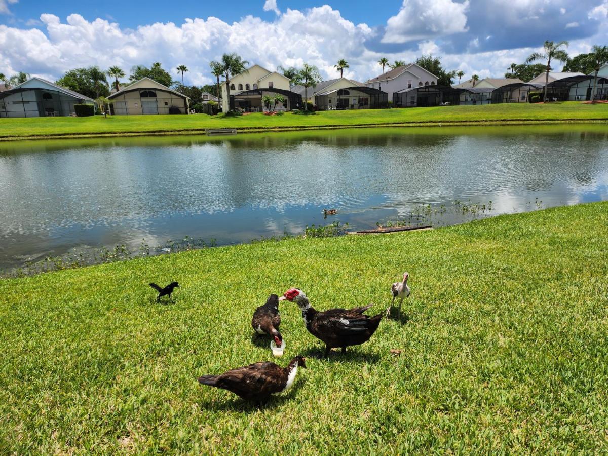 Fully Renovated, Quiet, Spacious Disney Themed Pool Home With Office Kissimmee Exterior photo